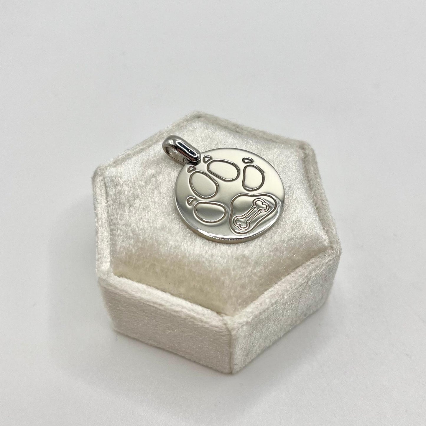 CN LASTRA ZAMPA CANE