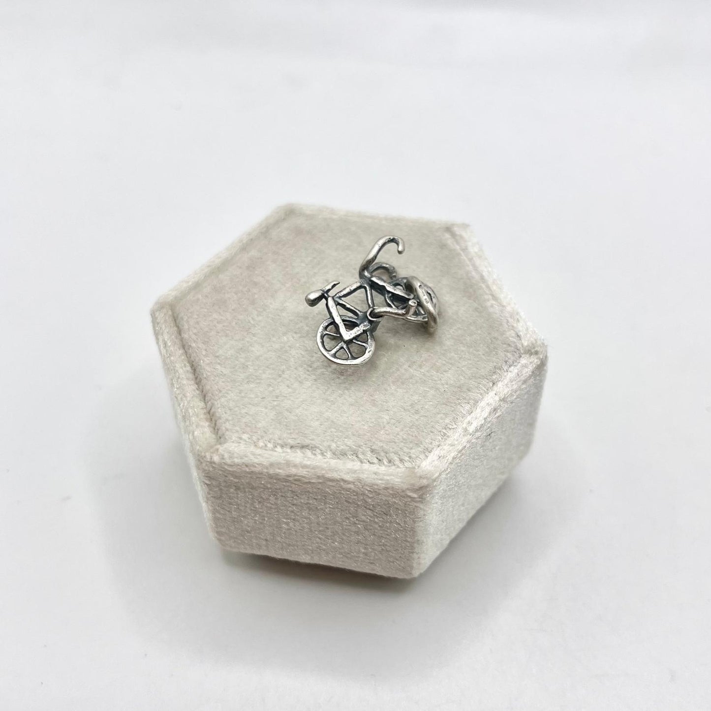 CN BICICLETTA OSSIDATA