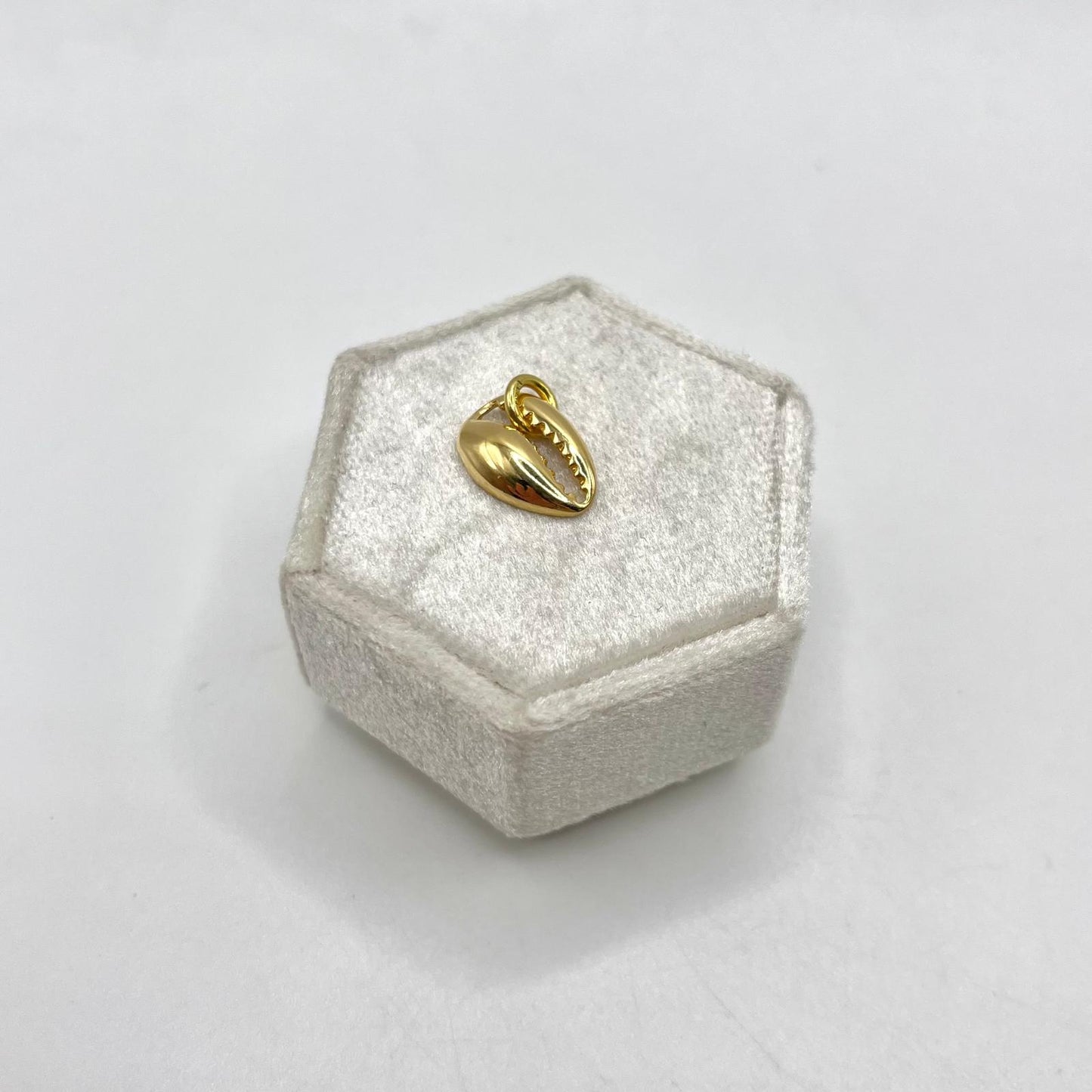 CN CONCHIGLIA LISCIA