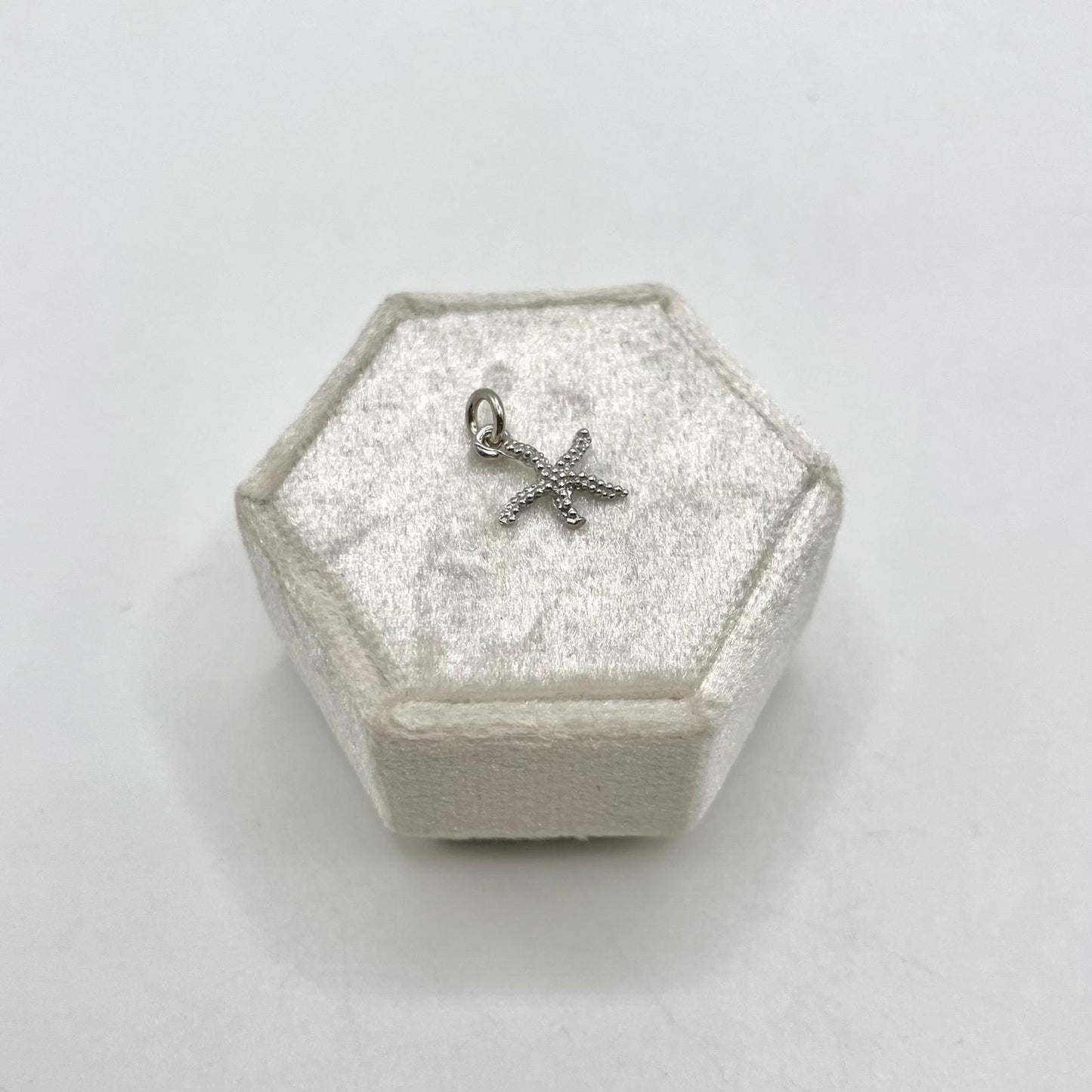 CN STELLA MARINA 1X1 CM