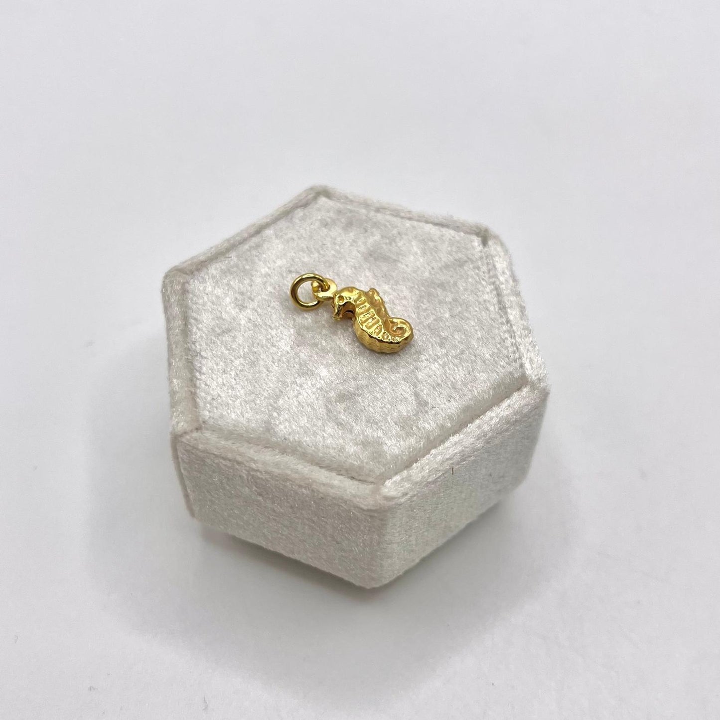 CN CAVALLUCCIO MARINO