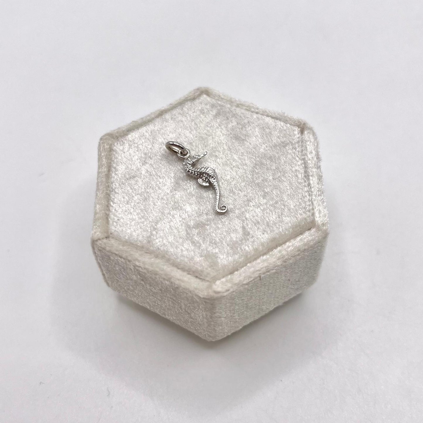 CN CAVALLUCCIO MARINO