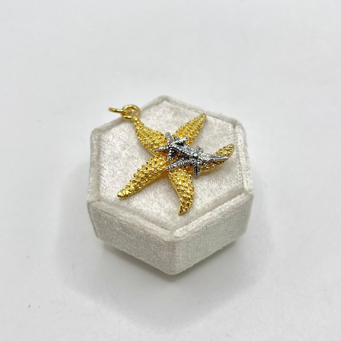 CN STELLA MARINA + 2 STELLINE