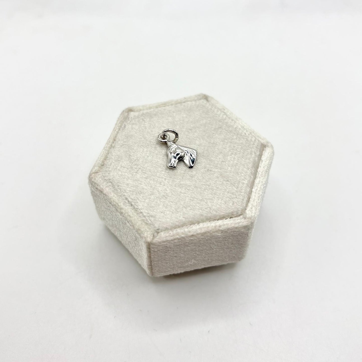 CN TESTA CAVALLO PICCOLA