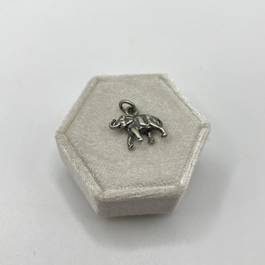 CN OSSIDATO ELEFANTE