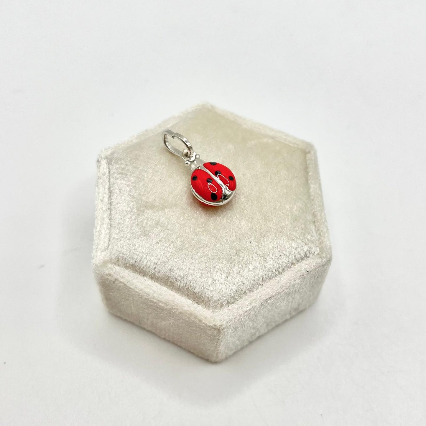 CN COCCINELLA 8MM