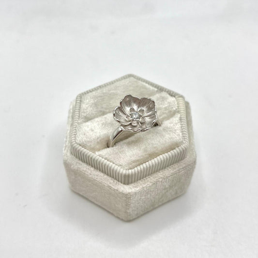 AN FIORE ZIRC CENTRALE