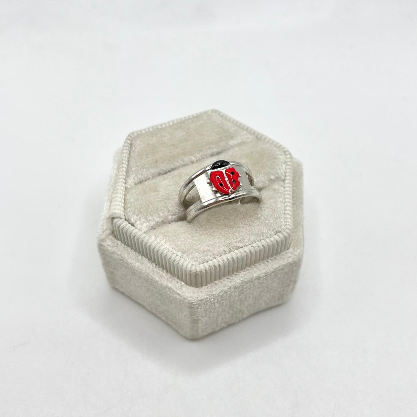 AN FASCIA COCCINELLA