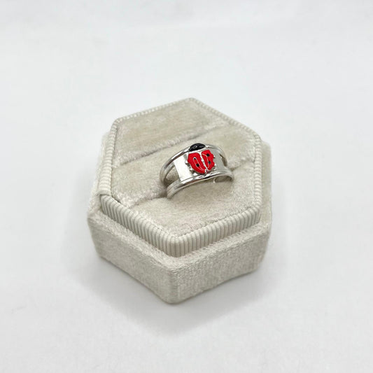 AN FASCIA COCCINELLA