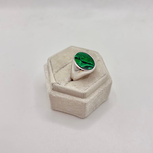 AN DA MIGNOLO OVALE VERDE