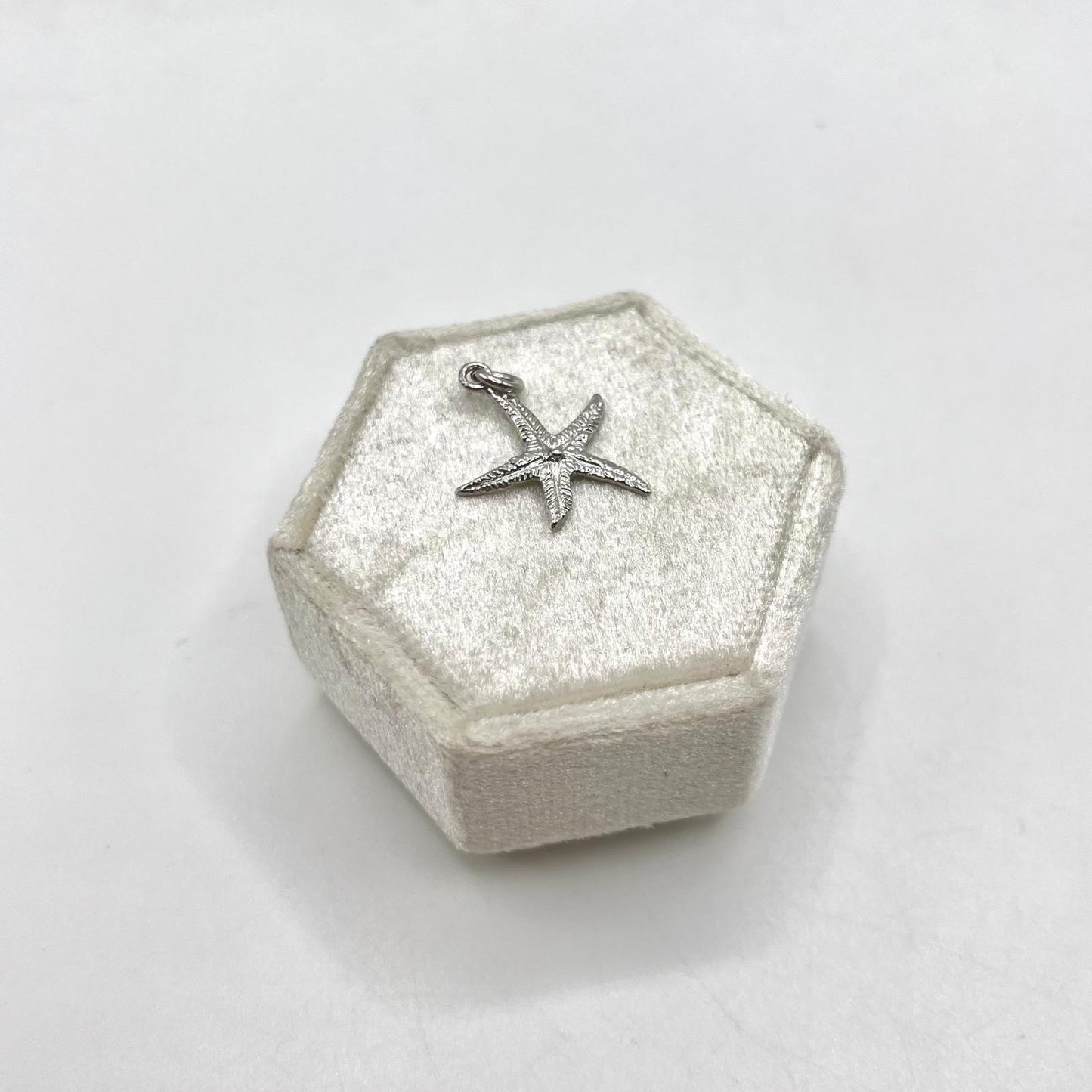 CN STELLA MARINA 1,5X1,5 CM