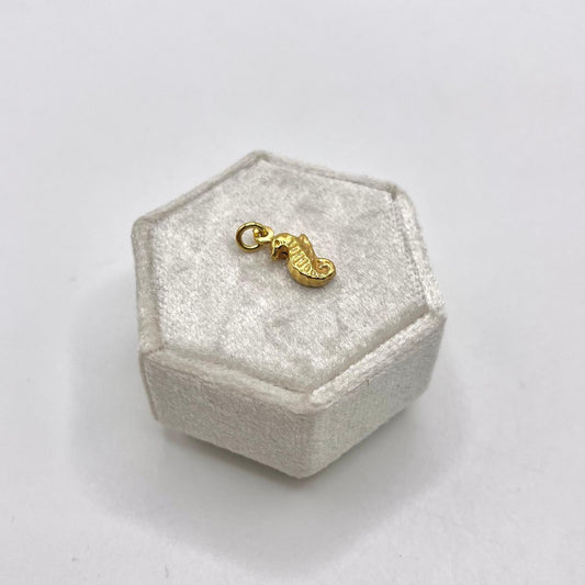 CN CAVALLUCCIO MARINO