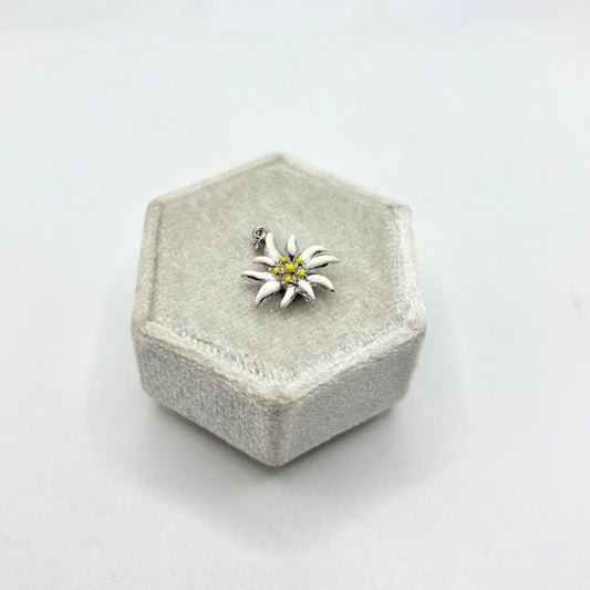 CN STELLA ALPINA SMALTO