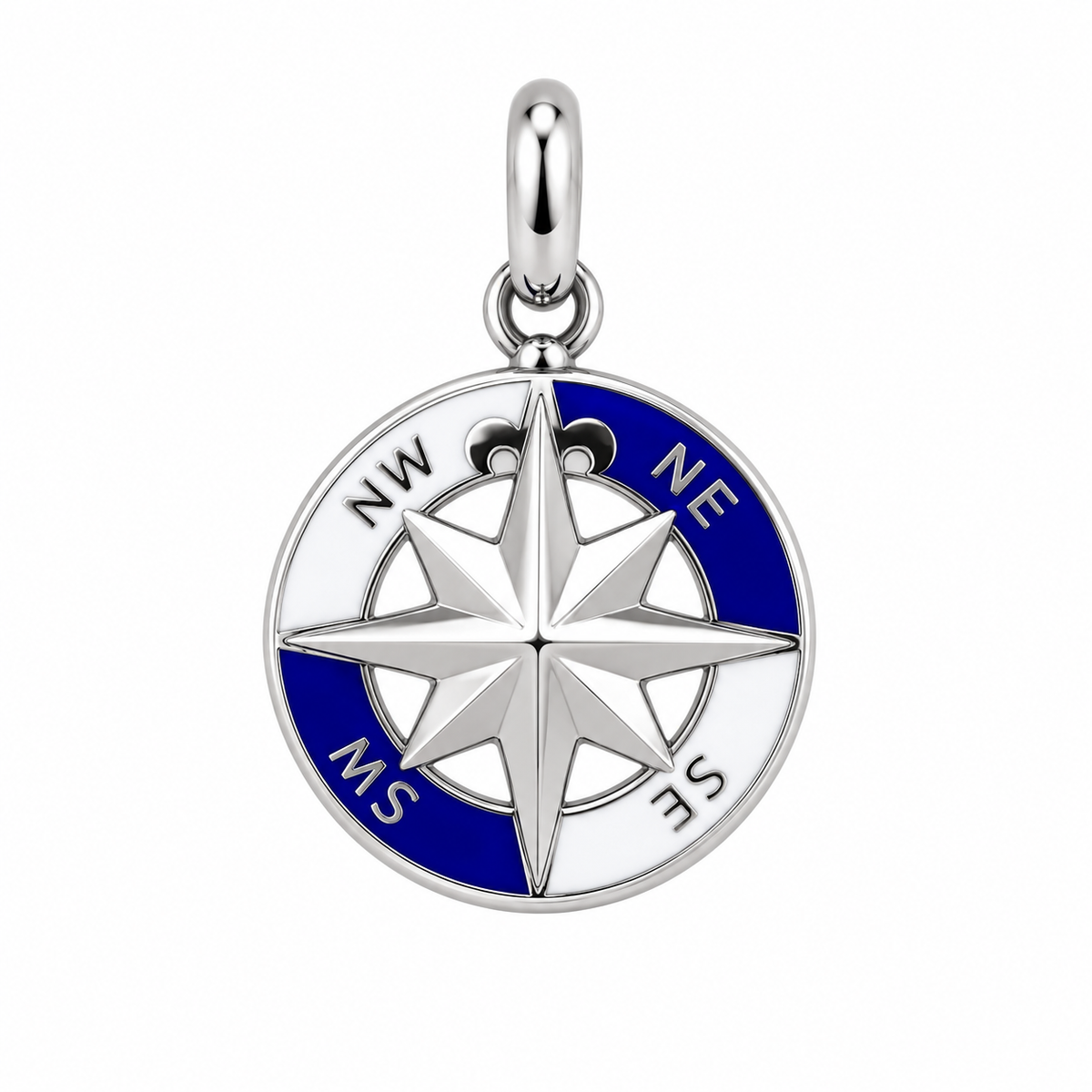 MEDAGLIA ROSA DEI VENTI BLU