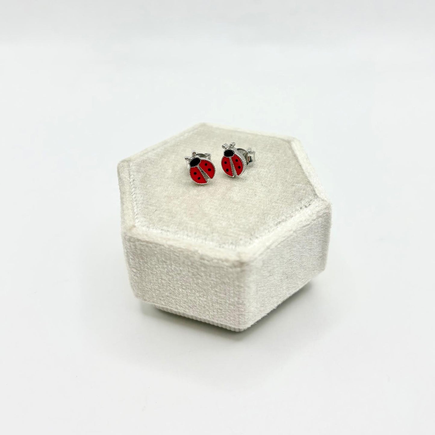 OR COCCINELLA